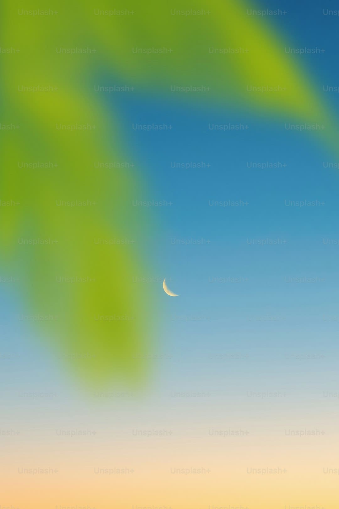 欧莱雅上半年销售额增加3%